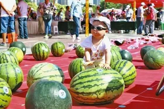 带你吃瓜比赛,带你领略“吃瓜大赛”的欢乐盛宴