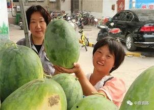 最近吃瓜小区,揭秘最近吃瓜小区的八卦故事